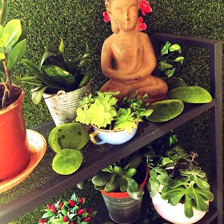 Feng Shui A *